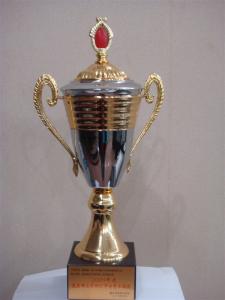 第五项目部荣誉