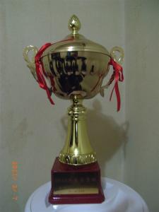 第五项目部荣誉